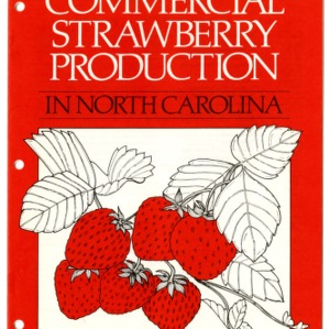 Commercial strawberry production in North Carolina (Agricultural Extension Publication 005, Revised)