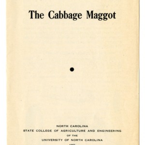 The cabbage maggot (Extension Folder No. 54)