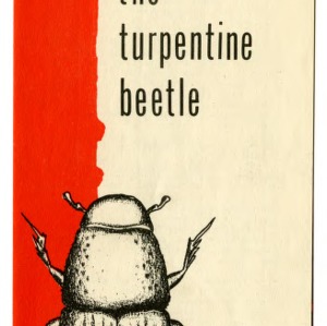 The turpentine beetle in North Carolina (Extension Folder No. 91)