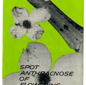Spot anthracnose of flowering dogwood (Extension Folder No. 150, Revised)