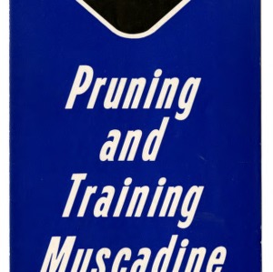 Pruning and training muscadine grapes (Extension Folder No. 156)