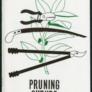 Pruning shrubs (AG-71, Reprint)