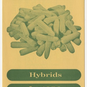 Recommended Hybrids for 1956